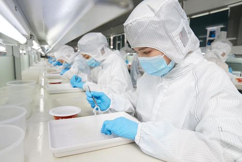 再登世界品質(zhì)之巔 燕之屋榮獲歐盟BRC IFS雙認證，硬件研發(fā)成就卓越